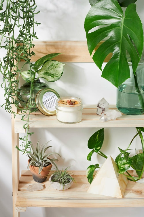 Bougie d'intention Abondance – cire de soja